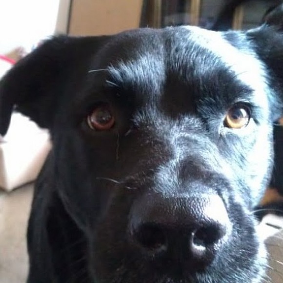 Meet your Posher, Stephanie $10 or less sale!!!! - Picture 1 of 1